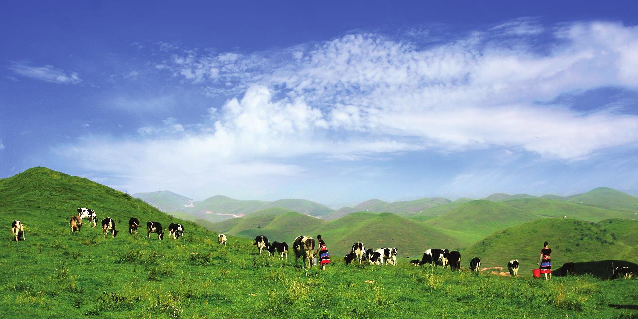 一步之城，萬(wàn)種風(fēng)情 ——《城步苗族自治縣旅游產(chǎn)業(yè)發(fā)展總體規(guī)劃及重點(diǎn)景區(qū)概念性規(guī)劃》