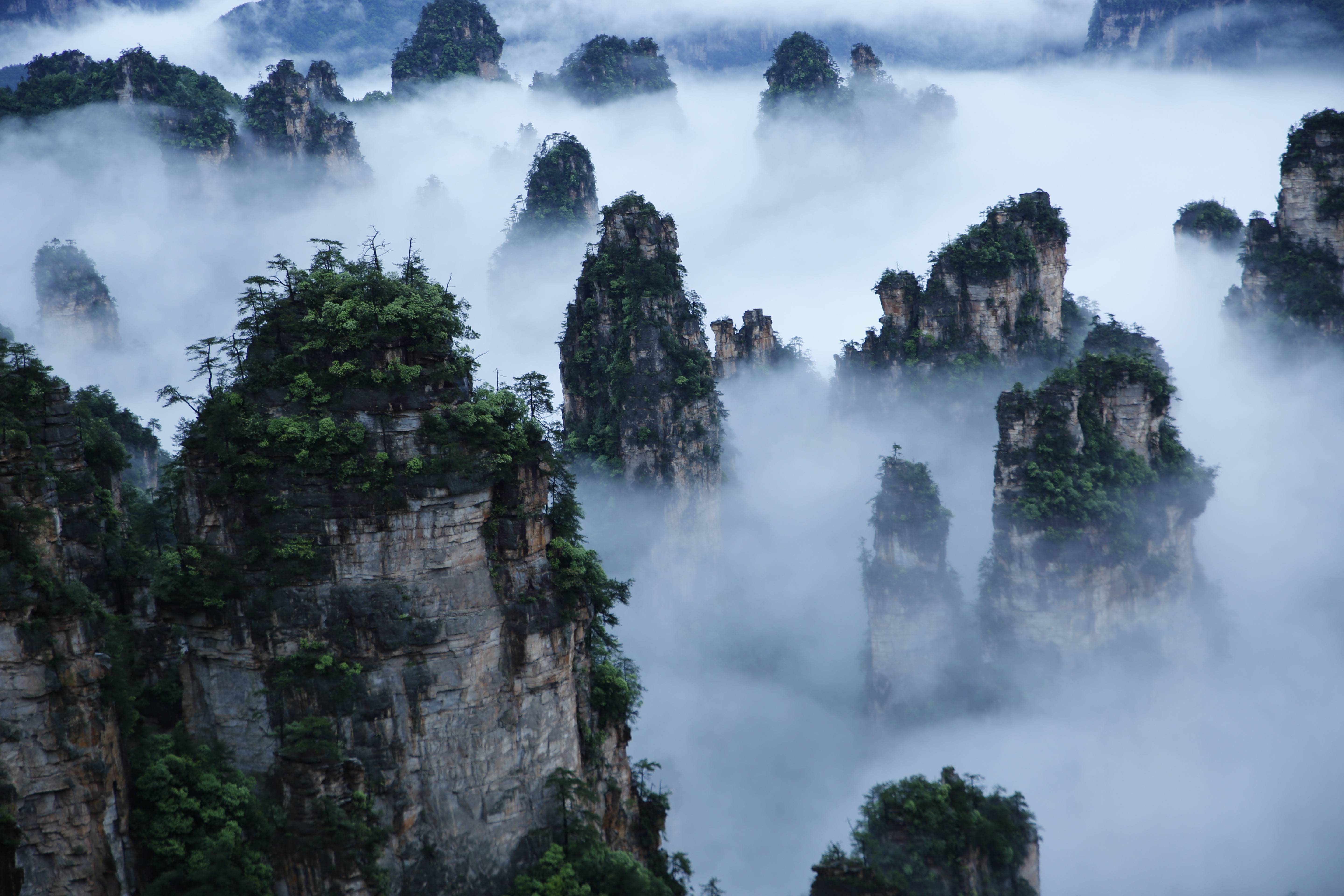 武陵源景區(qū)天子山云海，圖源：湖南日?qǐng)?bào).jpeg